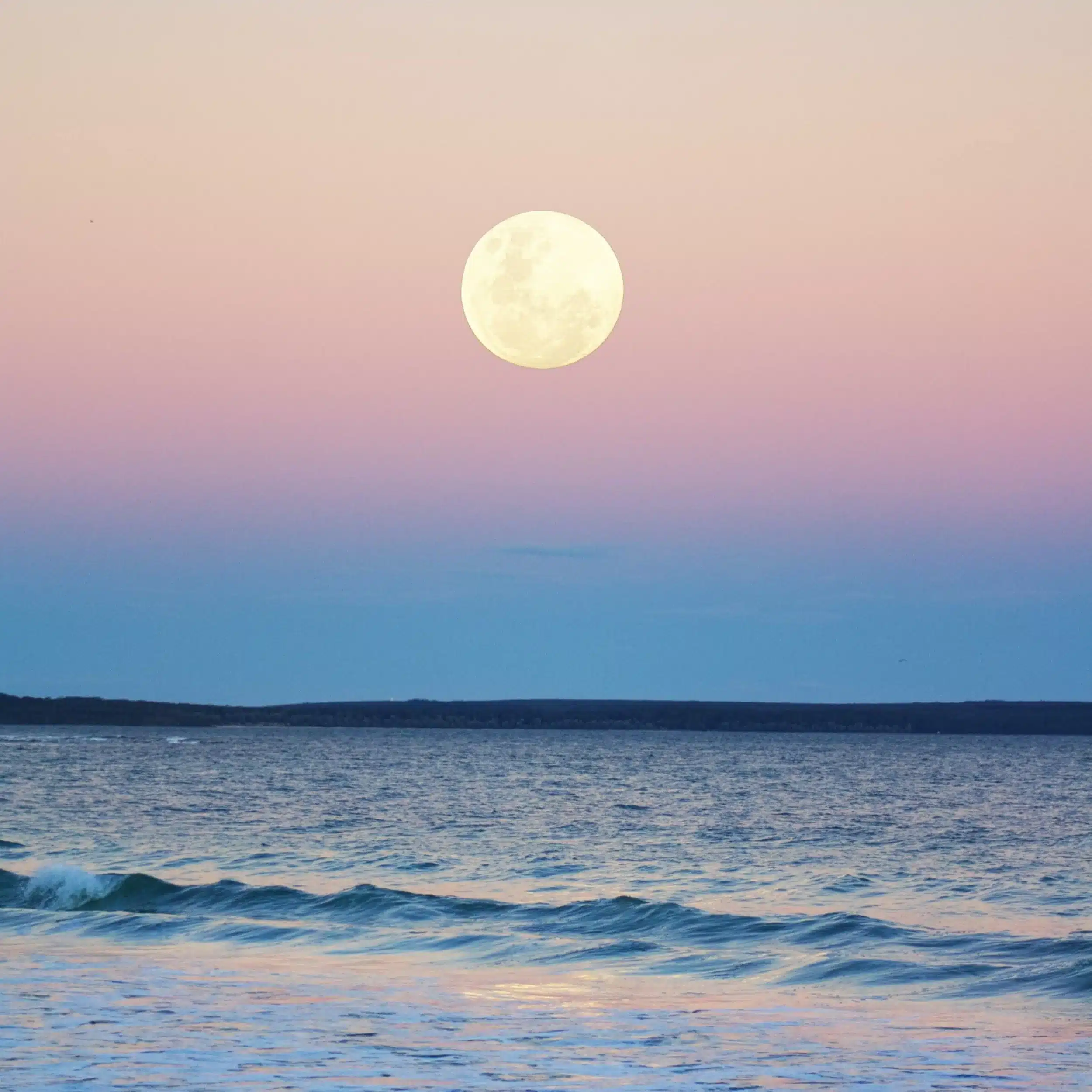 Full Moon Outdoor Yoga: Harvest Moon